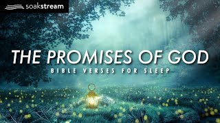 The Promises of God  Bible Verses For Sleep [upl. by Pavel]