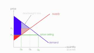 How to calculate changes in consumer and producer surplus with price and floor ceilings [upl. by Deb]