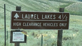 Mosquitos Nightmare At Laurel Lakes Mammoth CA  OffRoadOverlandCamping [upl. by Eliseo]