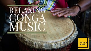 1 hour of Relaxing Conga Music Meditation Music Stress Relief Relaxing Bongo Music [upl. by Priestley]