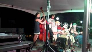 The Hokum High Rollers Performance at the 10th Annual National Jug Band Jubilee [upl. by Epilef]