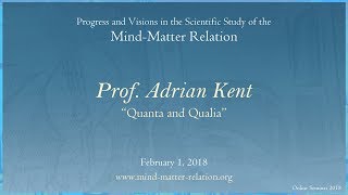 Quanta and Qualia Prof Adrian Kent [upl. by Akeret]