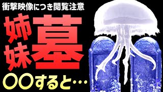 【エルデンリング】姉妹の墓に○○すると・・・衝撃映像につき閲覧注意！！【小ネタ・検証・解説・攻略】 [upl. by Luas]