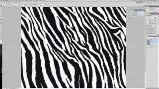 CAFD II Zebra Print Fabric repeat [upl. by Atteoj]