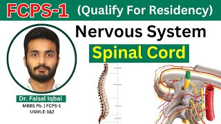 FCPS1  Nervous System  Spinal Cord  Anatomy of Spinal Tracks Blood Supply [upl. by Ahswat]