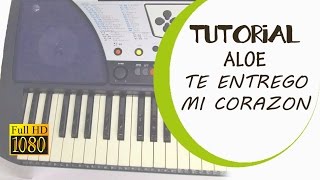 MINISTERIO ALOE  TE ENTREGO MI CORAZON  TUTORIAL FULL HD [upl. by Isteb]