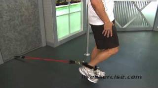 HOW TO DO Leg Extension Exercises with Resistance Bands [upl. by Tullius250]