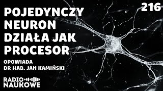 Neurony i pamięć  nowe metody badań weryfikują dawne twierdzenia  dr hab Jan Kamiński [upl. by Khai]