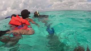 Snorkeling in Belize Day 5 Part 2 [upl. by West]