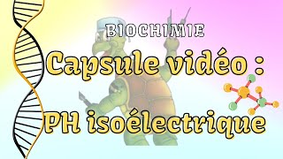 Biochimie rappel ph isoélectrique  Capsule vidéo [upl. by Olia]