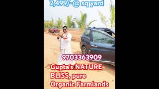 Pure ORGANIC Farmlands with Monthly 60000 rental Tiny houses 9703363909 tiny organic free [upl. by Arimat]