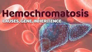 HEMOCHROMATOSIS GENETIC DISORDER OF LIVER BSC NURSING 2024 [upl. by Klenk]