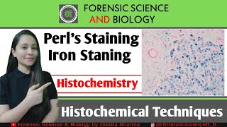 Histochemistry  Perls Reaction of Histochemical Method  Iron level Detection in Tissues [upl. by Neelyak626]