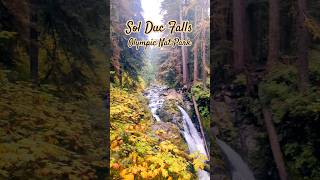 Sol Duc Falls Olympic Nat Park travel hiking [upl. by Jordain]