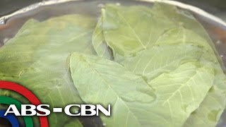 Salamat Dok Health benefits of Guava Leaves  Cura Mula sa Nature [upl. by Ayeka]