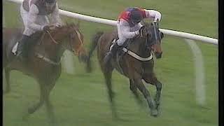 1993 Aintree Hurdle Morley Street Includes Replay [upl. by Ancalin]