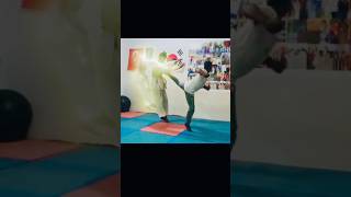 Taekwondo back kick status martialartsfight taekwondo [upl. by Inalan276]