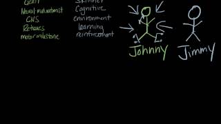 Theories of Motor Development [upl. by Arlinda]