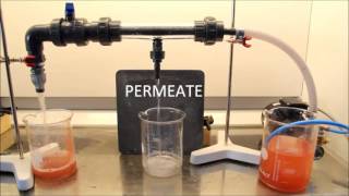 Cross Flow Filtration on SiC Membranes [upl. by Stander566]