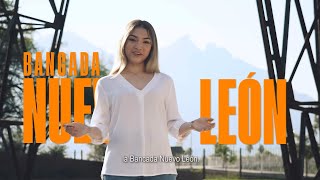 Esta es la Bancada Naranja la Bancada Nuevo León [upl. by Irtak718]