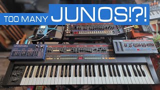 Which Juno is right for you Comparing Roland Boutiques and the Dreadbox Nymphes to the Juno106 [upl. by Irrok]