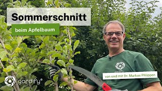 Sommerschnitt beim Apfelbaum Obstbäume durch Schnitt klein halten 4 wichtige Tipps [upl. by Bergwall141]