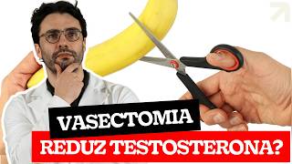 Vasectomia REDUZ a TESTOSTERONA Mito ou Verdade [upl. by Ligetti193]