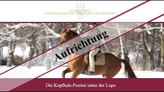 Onlineseminar quotAufrichtung  Die KopfhalsPosition unter der Lupequot  Hofreitschule Bückeburg [upl. by Ahsiket604]