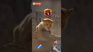 Lion King Attack gaming [upl. by Rosner]