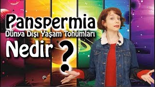 Panspermia  Dünya Dışı Yaşam Tohumları Nedir [upl. by Mason]