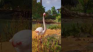 🦩 Flamingos Have Arrived at San Cabrillo Zoo shorts [upl. by Steddman703]