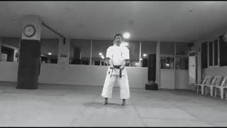 KIHON KATA YONDAN  SHORIN RYU SHIDOKAN [upl. by Gillespie]