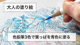 大人の塗り絵｜色鉛筆３色で葉っぱを青色に塗ってみた｜エポルさん「森の少女」 [upl. by Ora]