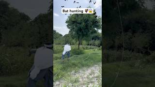 Bat 🦇 hunting 😱 birds birdhunting hunting entertainment shorts youtubeshorts [upl. by Violette]