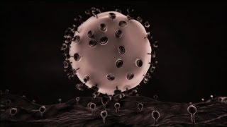 Welcome to the Era of Nanomedicine [upl. by Noynek]