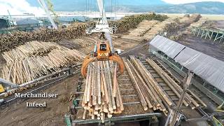 Logs to Lumber  An aerial journey through the sawmill [upl. by Utta292]