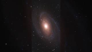 Bode’s Galaxy M81 through an 11” telescope galaxy telescope m81 bodesgalaxy [upl. by Hubie]