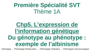 Albinisme  1ere Spécialité SVT  Du génotype au phénotype exemple de lalbinisme [upl. by Derek557]