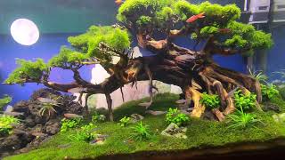 Aquarium Sand Waterfall After 4 Months [upl. by Ynettirb]