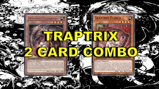 TRAPTRIX 2 CARD COMBO Myrmeleo  Pudica [upl. by Birk]