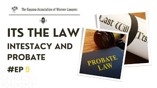 Intestacy and Probate What Happens Without a Will [upl. by Anaillil205]