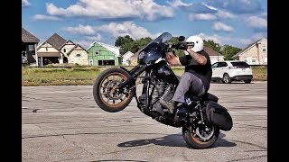 DYNA VS SPORTSTER  HARLEY BUYERS GUIDE PT 2 [upl. by Tnayrb]