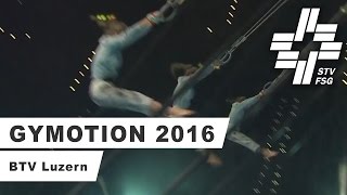 Gymotion 2016  BTV Luzern  Schaukelringe [upl. by Pearla295]