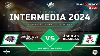 MAXIMO AVANCE EN VIVO AUTÉNTICOS TIGRES vs ÁGUILAS BLANCAS ONEFA maximoavance INTERMEDIA [upl. by Zakarias]