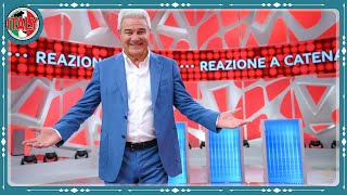 Rai Pino Insegno lascia Reazione a Catena Ecco cosa sta succedendo [upl. by Olleina991]