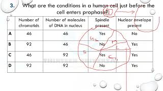 A LEVEL CAIE MITOTIC CELL CYCLE  SERIES ONE [upl. by Akenor]