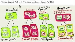 Rogers mitochondrial toxin theory of cancer [upl. by Eirak]