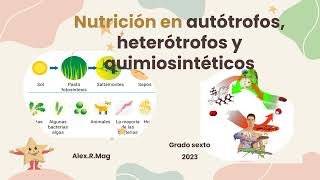 Nutrición en Autótrofos Heterótrofos y Quimiosintéticos [upl. by Stout817]