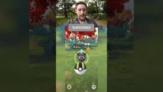 I BROKE Shiny Zorua in Pokemon GO pokemon shinypokemon shorts [upl. by Anerrol]