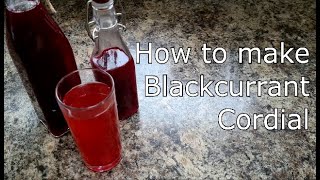 Blackcurrant Cordial [upl. by Gabi]